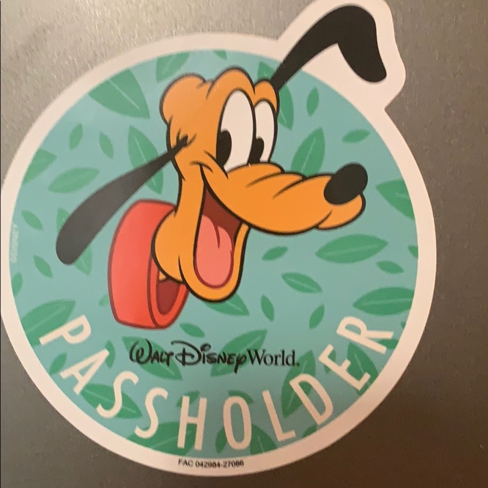 Disney world passholder magnet